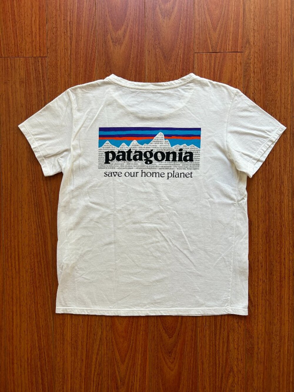 Patagonia Women's Organic Cotton Tee (Size M)